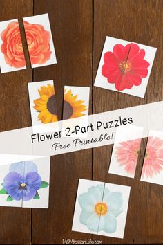 flower 2 - part puzzles for kids to practice their fine art skills and create beautiful flowers