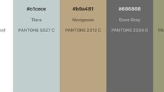 the color scheme for pantone's 2012 fall / winter colors