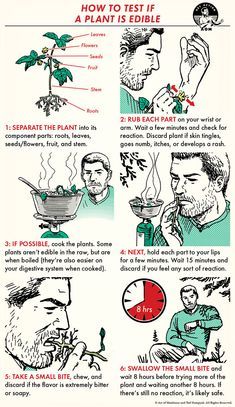 a poster explaining how to eat plants