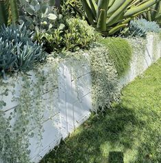 some plants are growing on the side of a wall with grass and other greenery