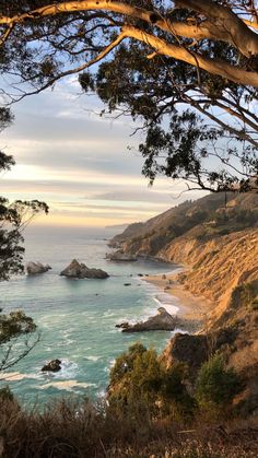 an ocean view from the top of a hill with trees and bushes around it,