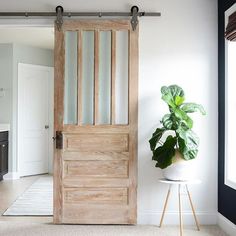 a potted plant sitting next to a wooden door