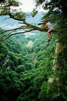 a man sitting on top of a tree next to a lush green forest filled with trees