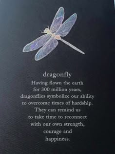 a poem written on a plaque with a dragonfly sitting on it's back