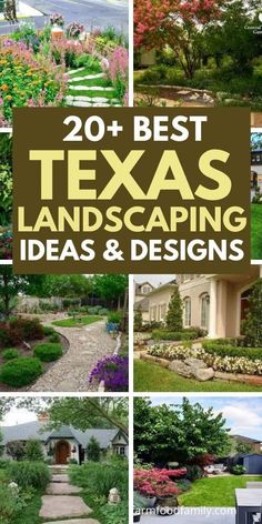 the best texas landscaping ideas and designs