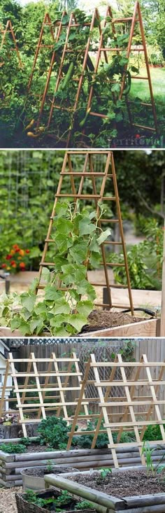 several different types of garden structures in various stages