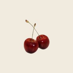 two red cherries on a white background