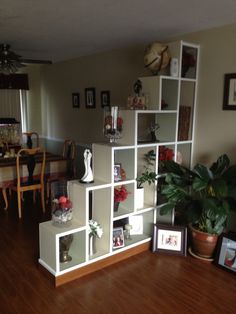 a living room filled with furniture and a potted plant on top of a wooden floor