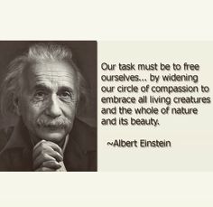 albert einstein quote about free ourselves by widdening our circle of compression to embrace all living creatures and the whole of nature and its beauty