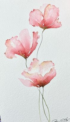 two pink flowers are shown in this watercolor painting