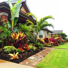 a house with lots of tropical plants in the front yard and landscaping on both sides