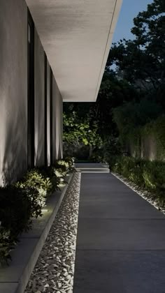 the walkway is lined with plants and rocks, leading to an outdoor area that has been lit up at night