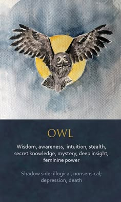 an owl with its wings spread out and the words owl above it are written in two languages