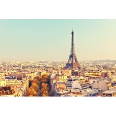 the eiffel tower towering over the city of paris, france is seen from above