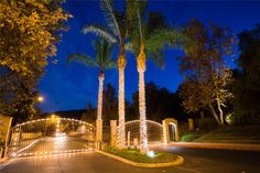 palm trees are lit up at night in front of a gate with lights on it