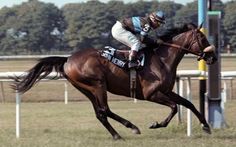 a man riding on the back of a brown horse across a grass covered race track