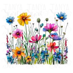 an image of colorful flowers in the grass with watercolors on paper by anana tanta