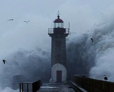 the lighthouse is surrounded by huge waves and birds