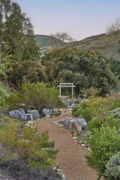 a path in the middle of a forest with rocks and bushes on both sides, leading to a white gate