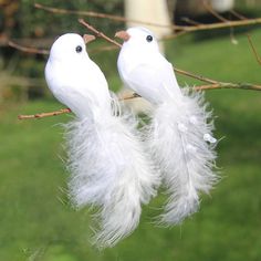 two white birds sitting on top of a branch next to each other in the grass