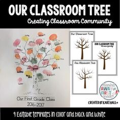 an image of a classroom tree with the words our class on it