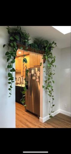 a refrigerator with plants growing on it in a kitchen next to a wall mounted planter