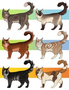 a group of cats standing next to each other on top of a rainbow striped background