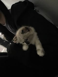 a woman holding a kitten in her arms while sitting on top of a car seat