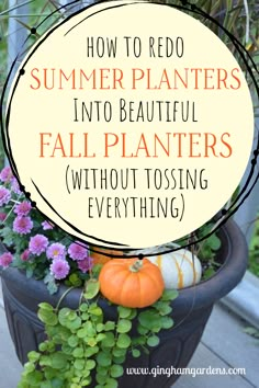 a potted plant with flowers and pumpkins in it that says how to redo summer plants into beautiful fall planting without tossing everything