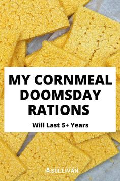 Long-lasting survival food is all the rage, but you can make your own doomsday rations at home with this recipe. #survivalfood #rations #doomsday Survival Recipes, Emergency Rations, Best Survival Food, Survival Food Storage, Food Shelf Life, Survival Skills Emergency Preparedness, Food Rations, Emergency Preparedness Food, Food Medicine