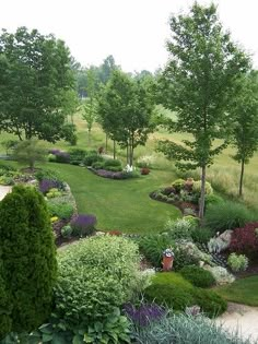 a lush green field filled with lots of trees and bushes next to a park area