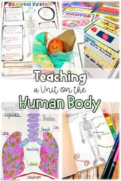 teaching about the human body is fun and easy