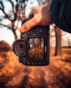 a person holding up a camera with trees in the background