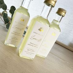 three bottles of white wine sitting on top of a table next to a potted plant