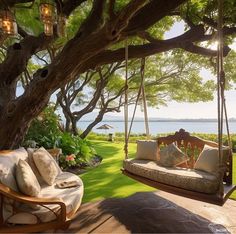 a porch swing hanging from a tree near the ocean