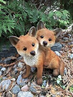 two little foxes are sitting on the ground together in front of some rocks and trees