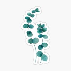 watercolor sticker with green leaves on white background