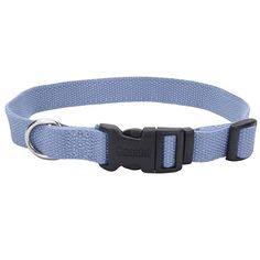 a dog collar with a metal buckle on it's side, in light blue