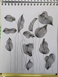 a drawing of some flowers on a sheet of paper