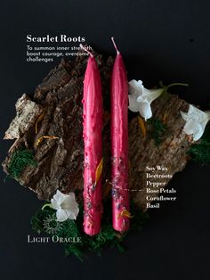 two pink candles sitting next to each other on top of a piece of wood and moss