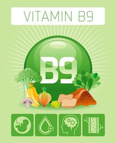 Folic acid vitamin b9 rich food icons wi... | Premium Vector #Freepik #vector #food #menu #design #fish Folate Rich Foods, Infographic Diagram, Healthy Liver Diet, Table Vector, Infographic Chart, Onion Bread, Vitamin B9