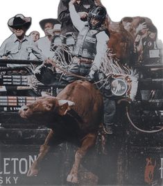 two men riding on the back of a truck with a cow in front of them