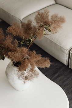 a white vase filled with dried plants on top of a table next to a couch