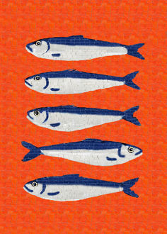 four fish are lined up on an orange and blue background, each with different colors