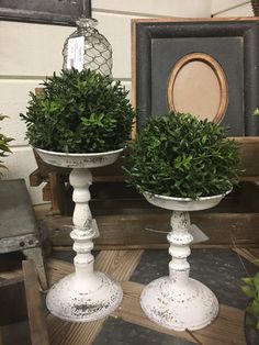 two white vases with green plants in them