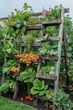 a wooden ladder filled with lots of different types of vegetables and fruits in it's garden