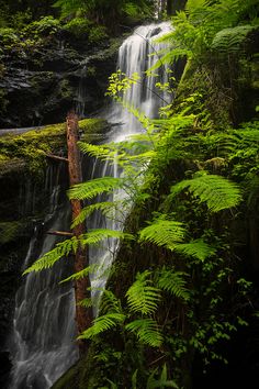 a small waterfall in the middle of a forest