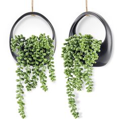 two circular planters with green plants hanging from them