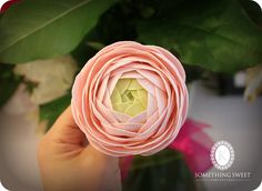 a hand holding a pink flower with green leaves