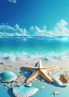 starfish and seashells on the beach under a blue sky